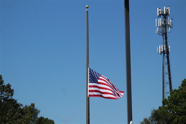 Flag at half mass 