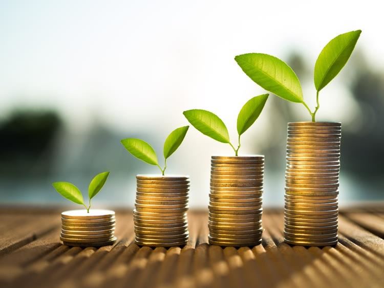 four stacks of coins as if sprouting leaves ascending in height